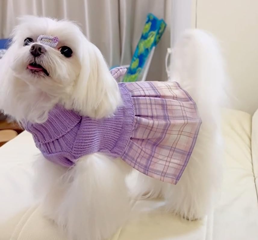 Lanyarco dog sweater dress showing the leash hole in the pullover design.