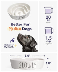 LE TAUCI PET slow feeder dog bowl shown from the side.