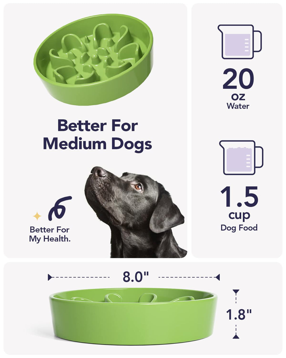 LE TAUCI ceramic slow feeder dog bowl with its non-slip base visible.