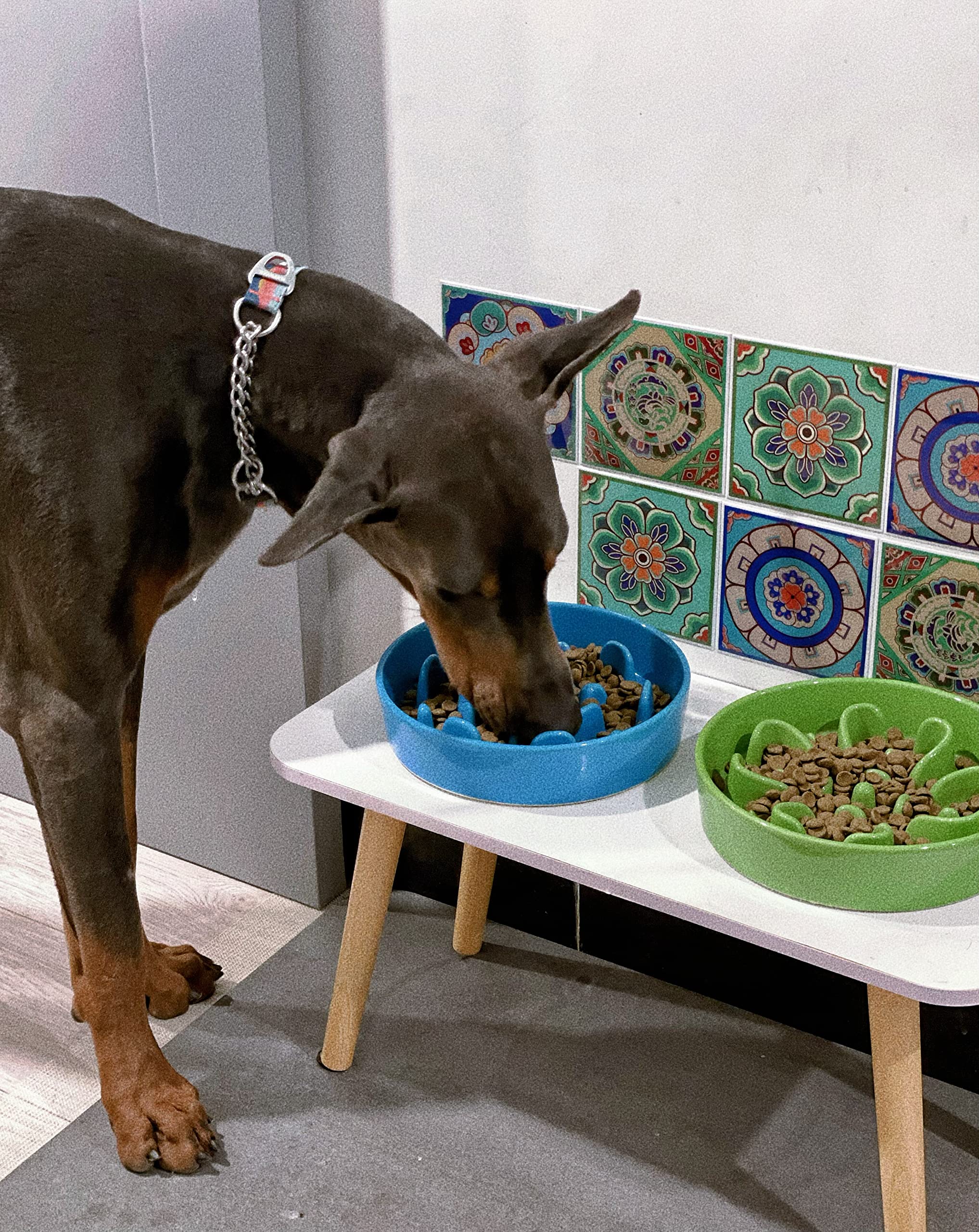 LE TAUCI ceramic slow feeder dog bowl packaging and product label.