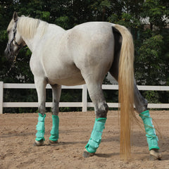 LEAFOREST horse fly boots showing the soft interior padding.