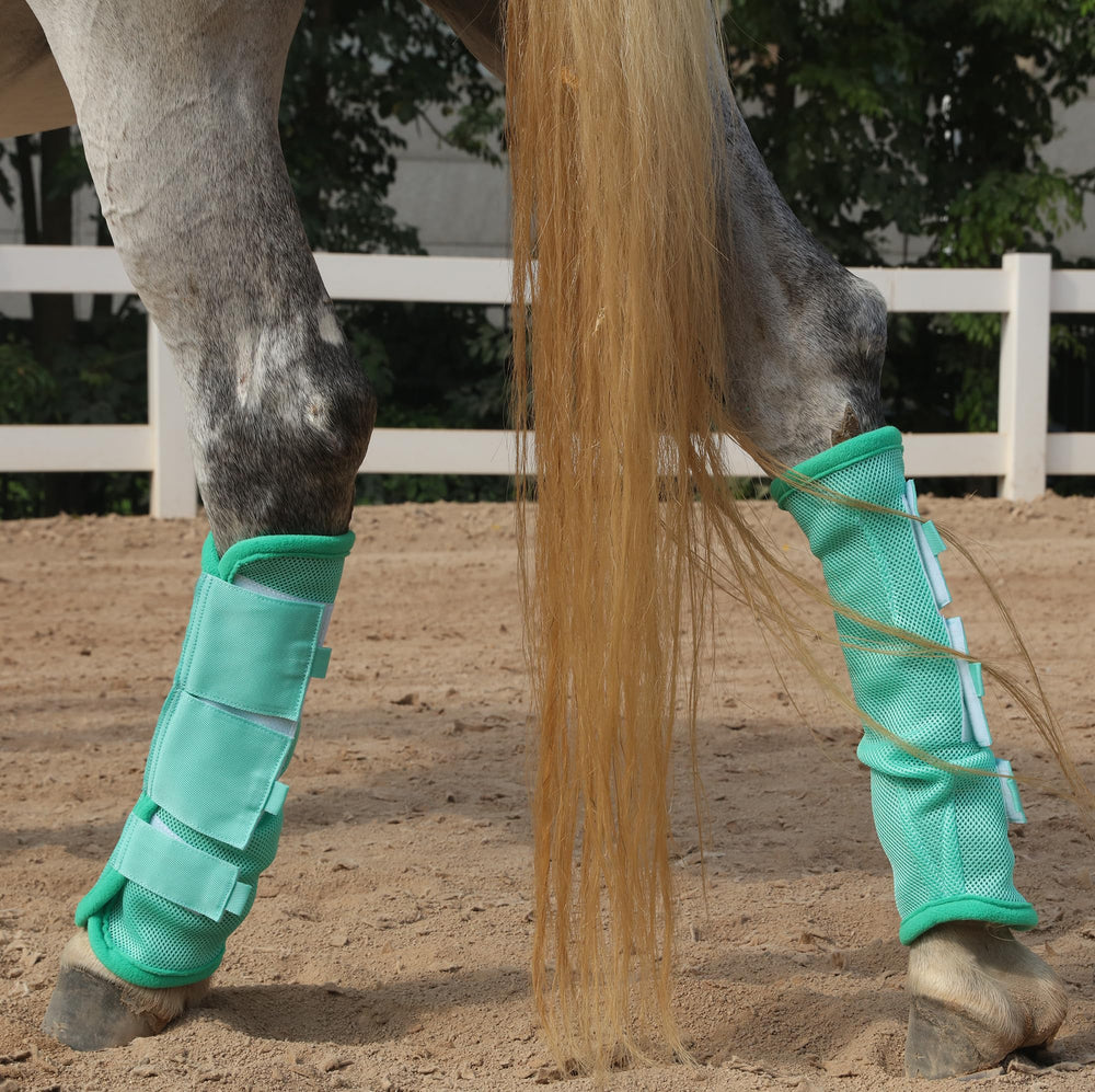 LEAFOREST horse fly boots with a close view of the Velcro closure.