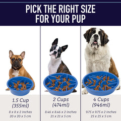 Leash Boss slow feeder dog bowl positioned in a raised feeder opening.