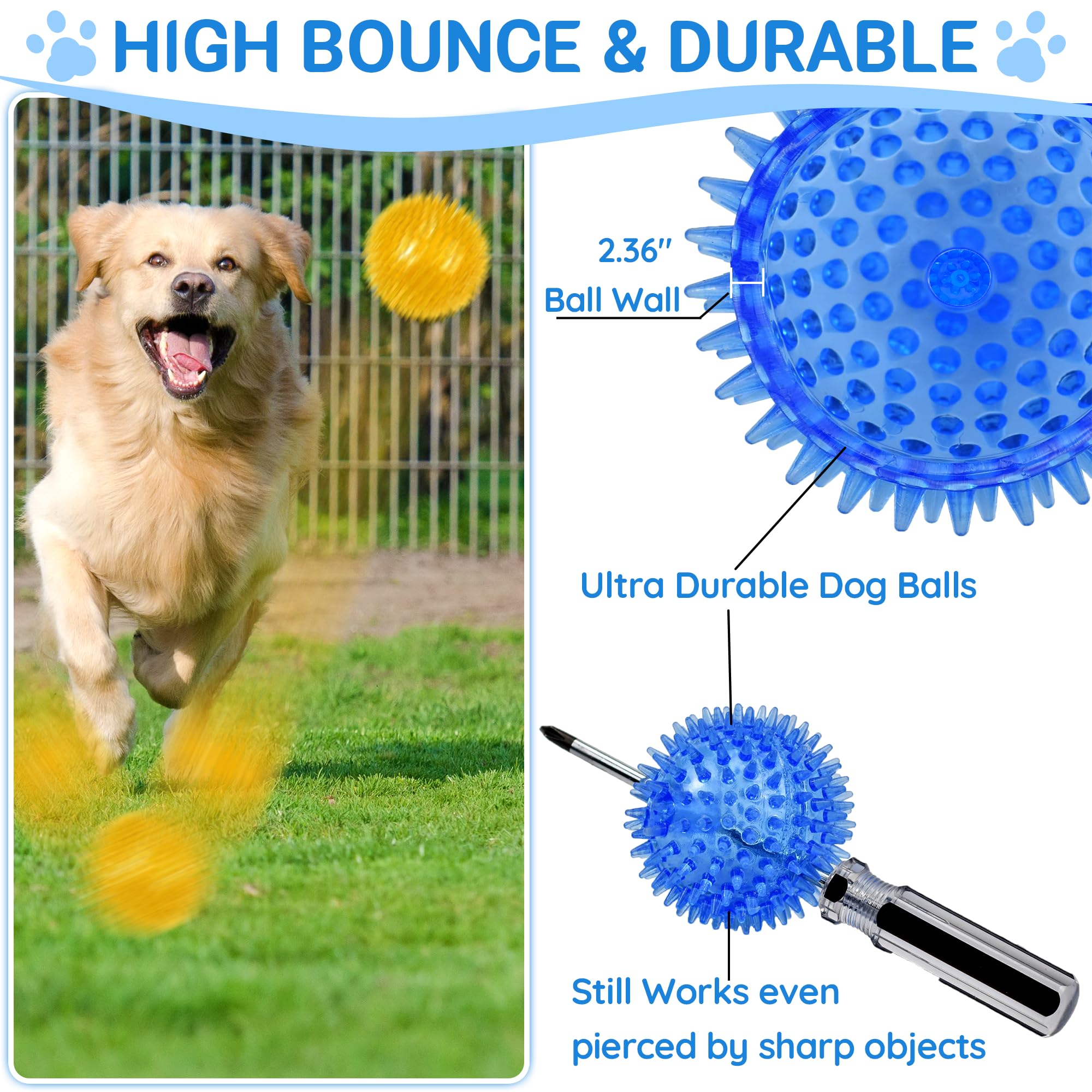 LECHONG dog ball bouncing during an active game.