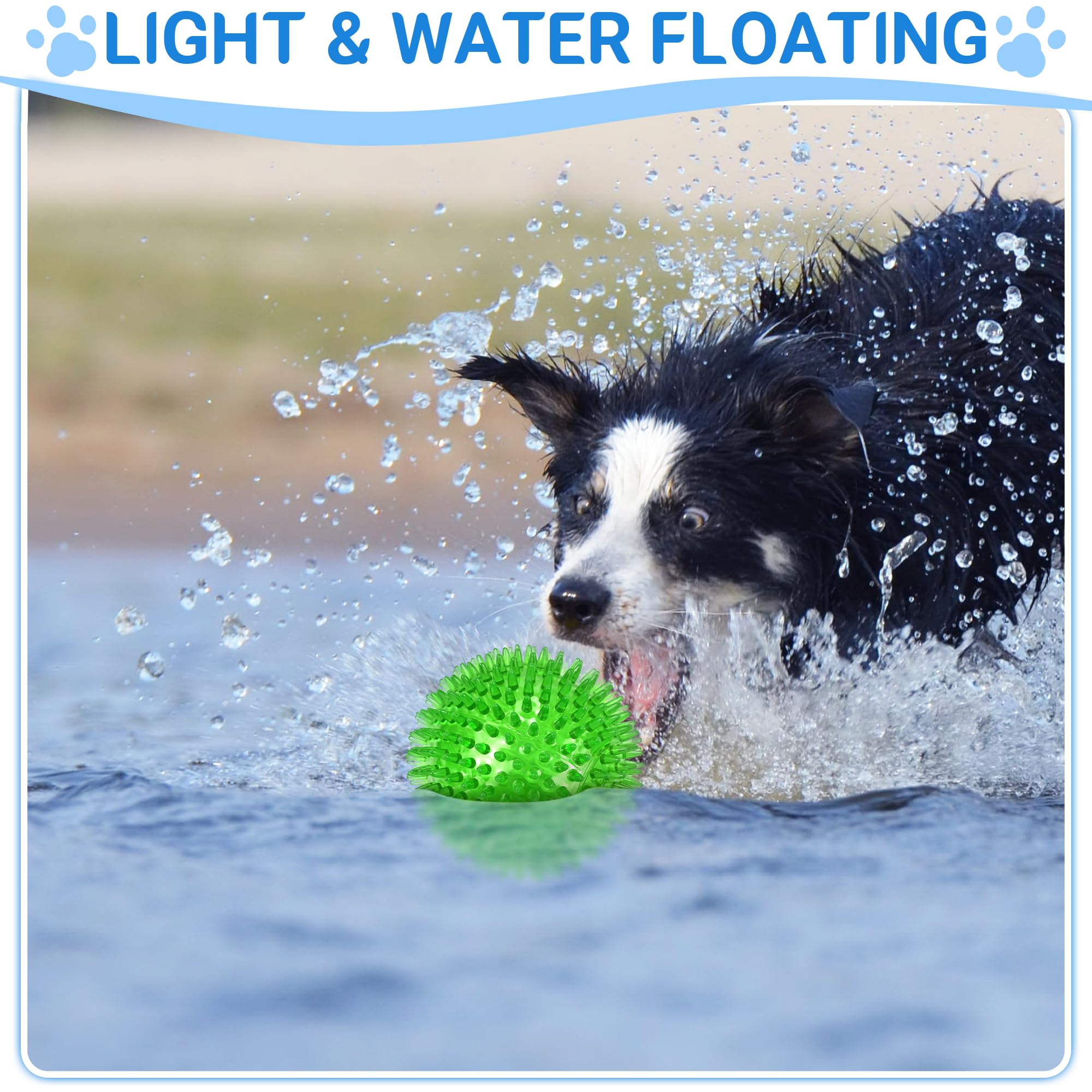 LECHONG dog ball floating during water play.