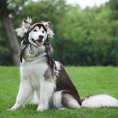 Leconpet Dog Aviator Hat worn by a dog in a cold-weather setting.