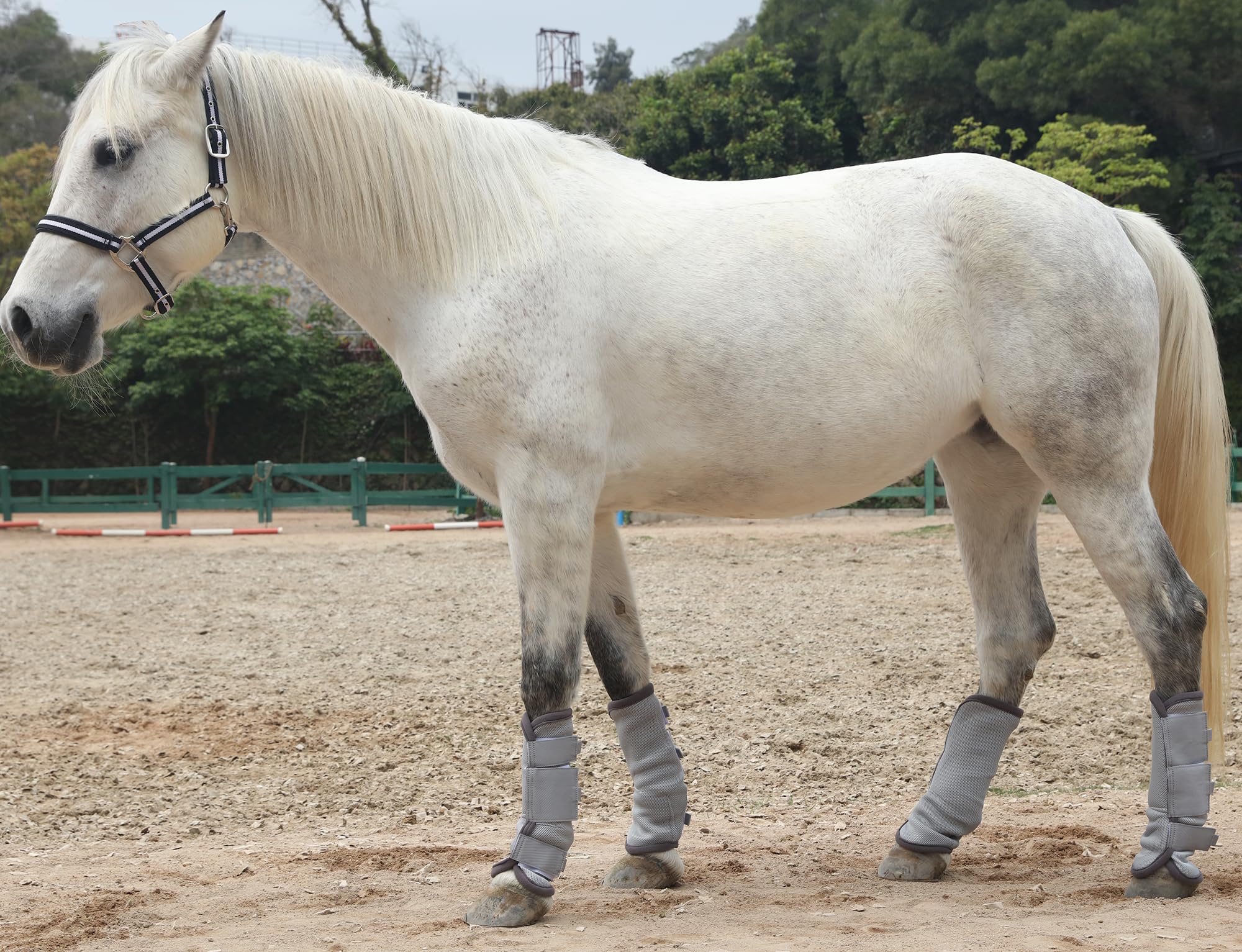LEAFOREST Horse Fly Boots showing the front and rear boot arrangement.
