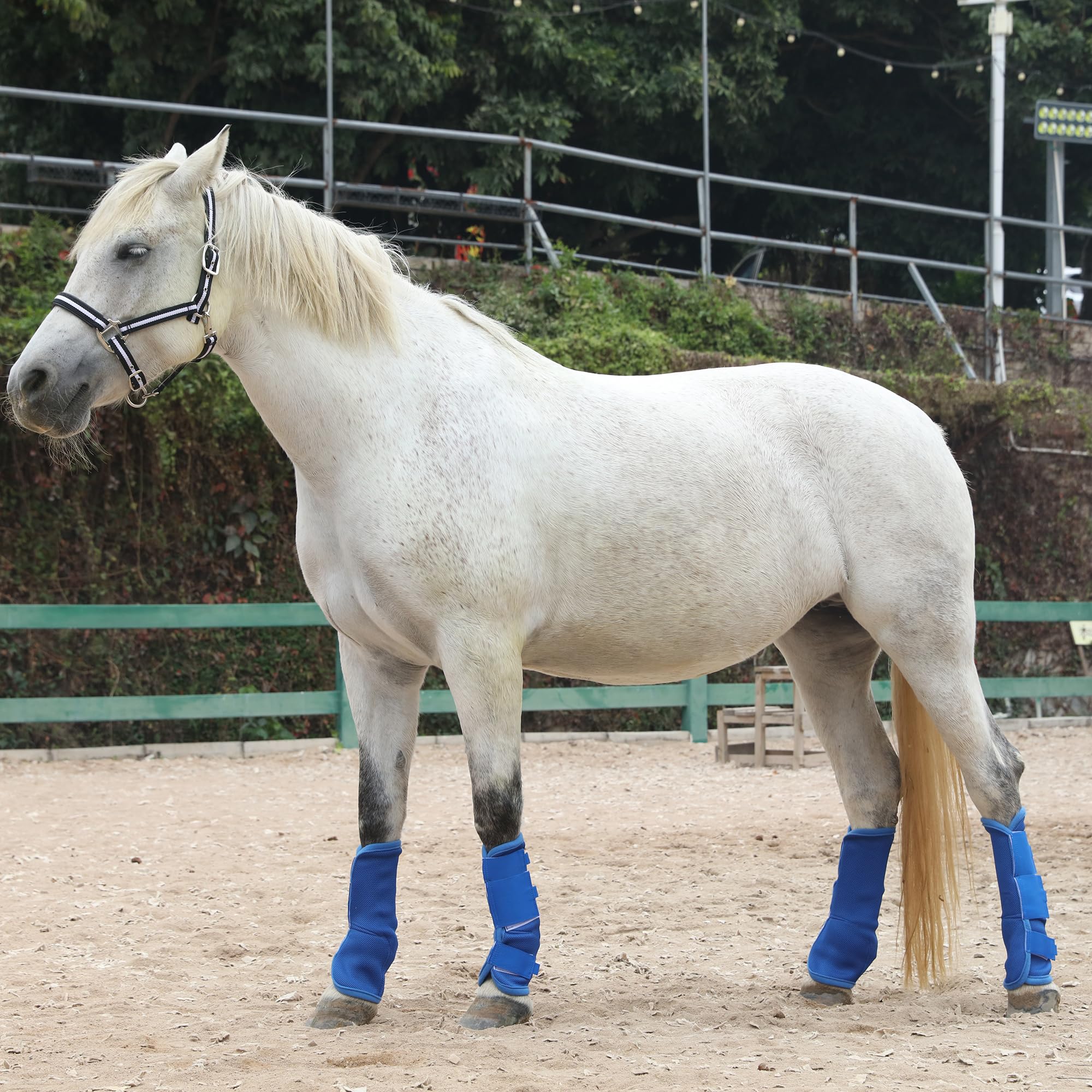 LEAFOREST Horse Fly Boots close-up showing breathable mesh and interior padding.