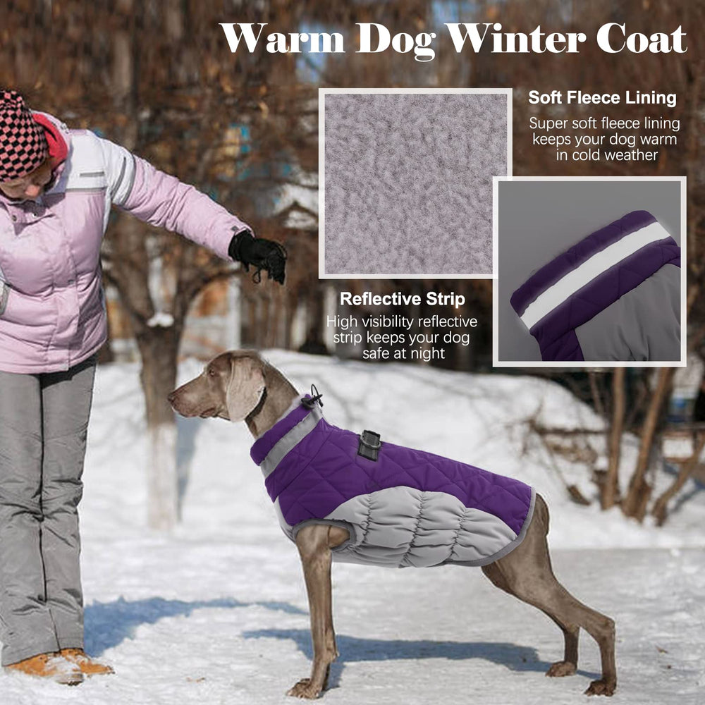 LeLePet dog coat showing the back zipper closure.