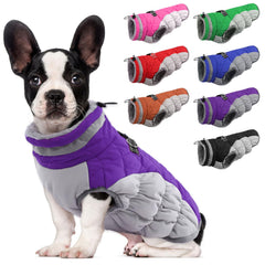 LeLePet dog coat shown from the front.