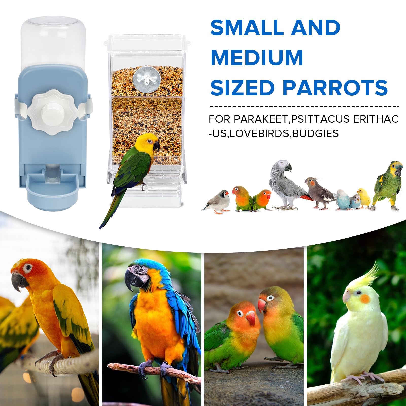 Lemtrflo bird feeder set showing the transparent water dispenser.