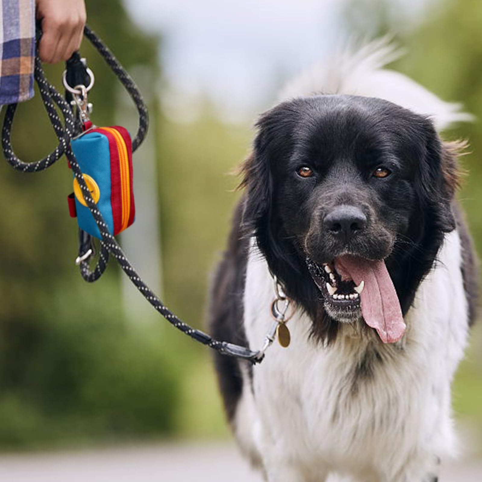 Lepawit Dog Poop Bag Holder shown with a harness attachment.