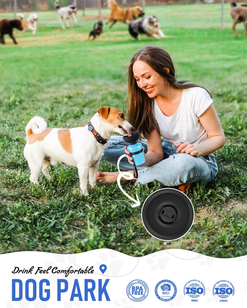 lesotc dog water bottle showing the push-button lock.