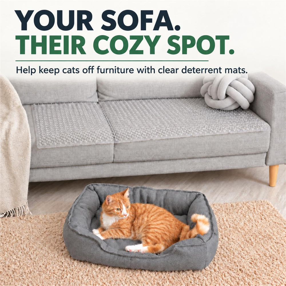 Ley's scat mat placed on a countertop as an indoor pet deterrent.