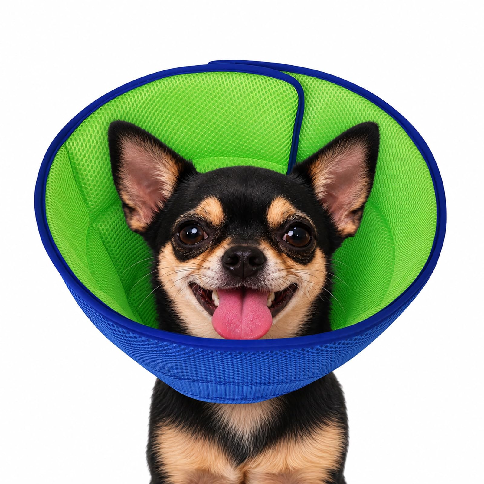 LH NTGR Soft Dog Cone shown from the front.