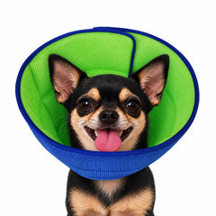 LH NTGR Soft Dog Cone shown from the front.