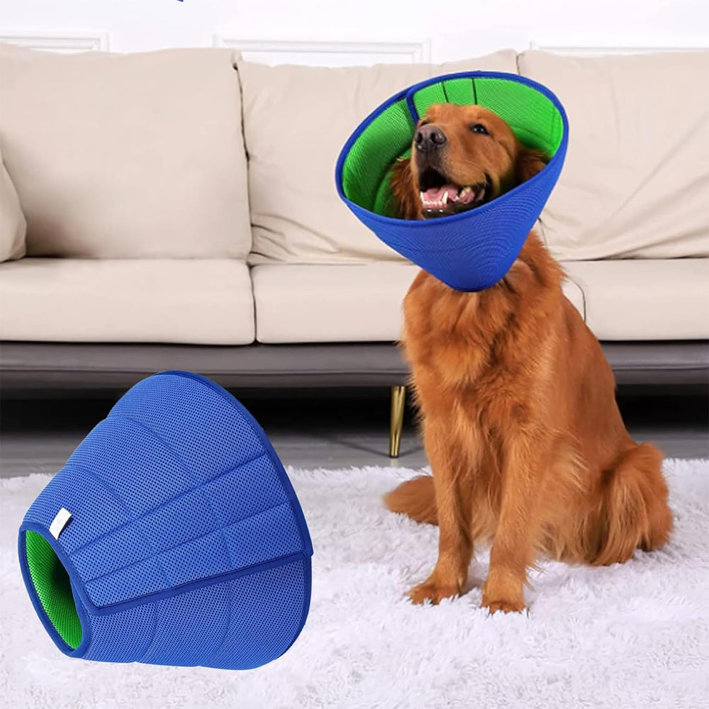 LH NTGR Soft Dog Cone shown worn by a cat.