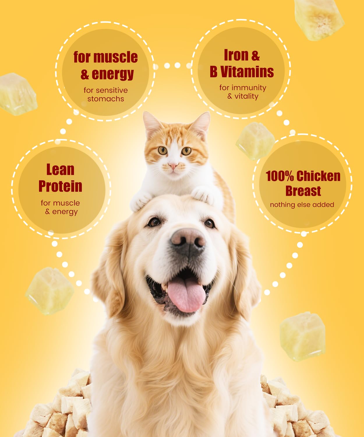 LILSNOOTS freeze-dried chicken dog and cat treats shown as a snack for a dog.