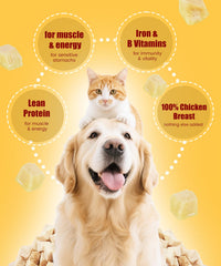 LILSNOOTS freeze-dried chicken dog and cat treats shown as a snack for a dog.