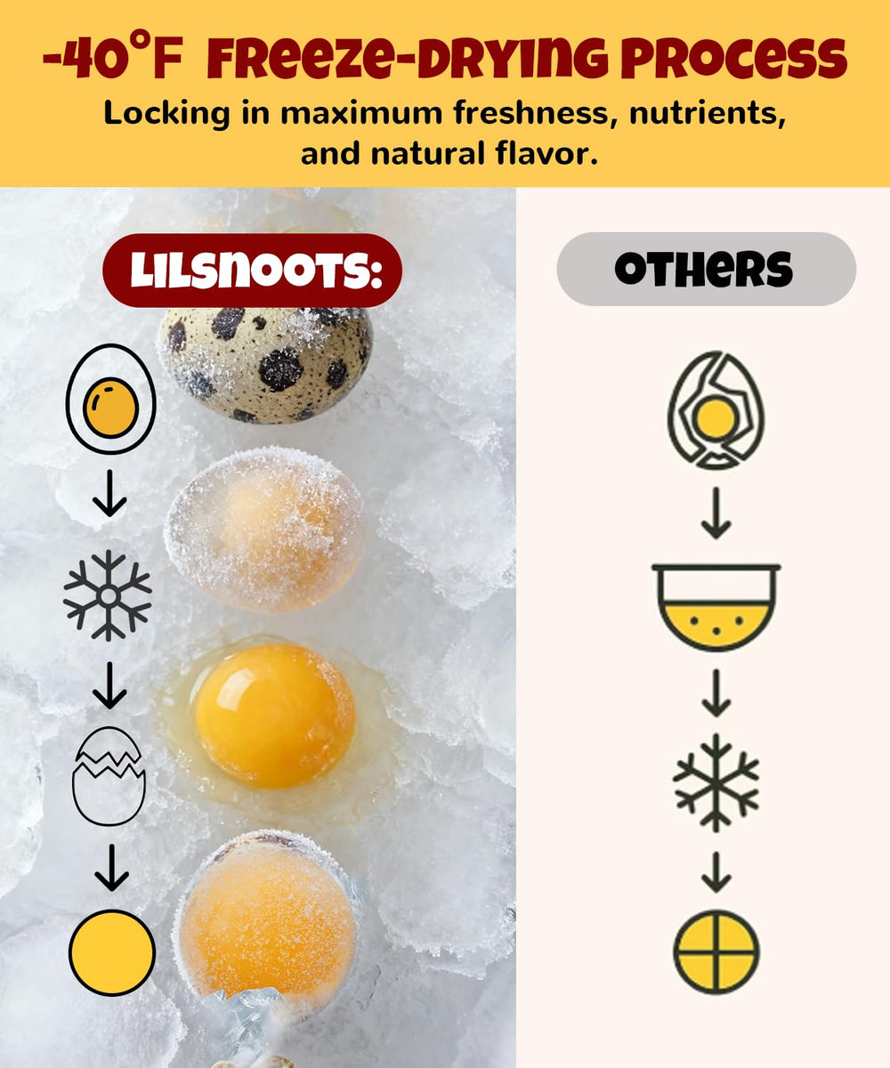 LILSNOOTS quail egg yolk cat and dog treats with the foil-sealed lid in focus.