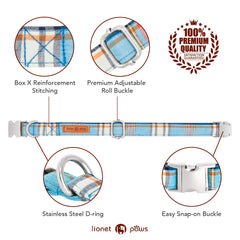 Lionet Paws dog collar shown with the detachable bowtie removed.