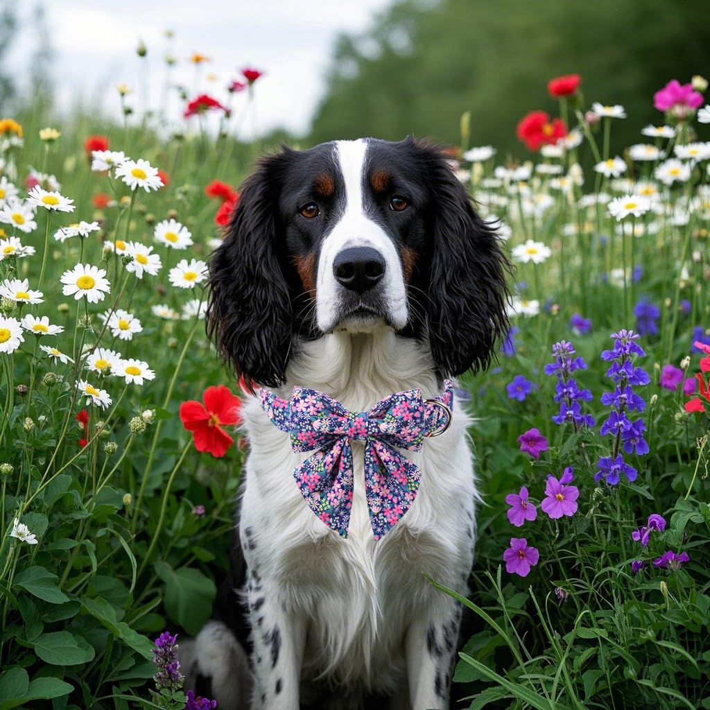 Lionet Paws dog collar shown with its detachable sailor bow detail.