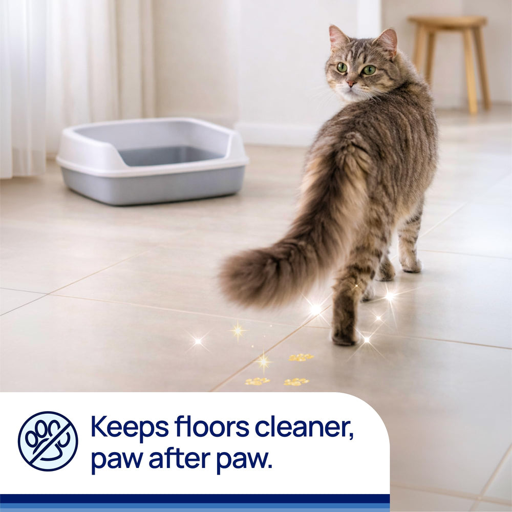 Litter Pearls TracksLess crystal cat litter shown in a litter tray