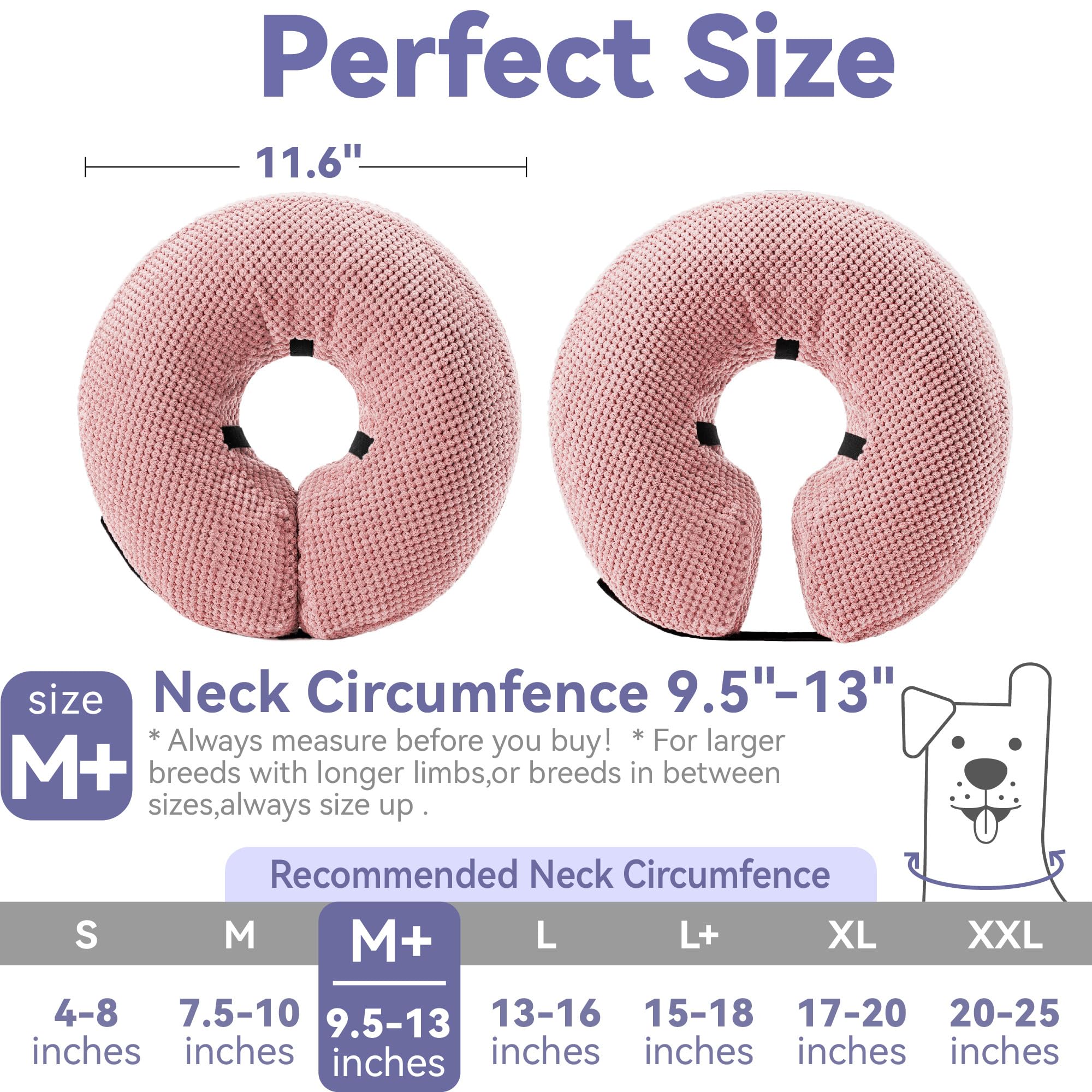 Loflaze inflatable dog collar showing the adjustable hook-and-loop strap.