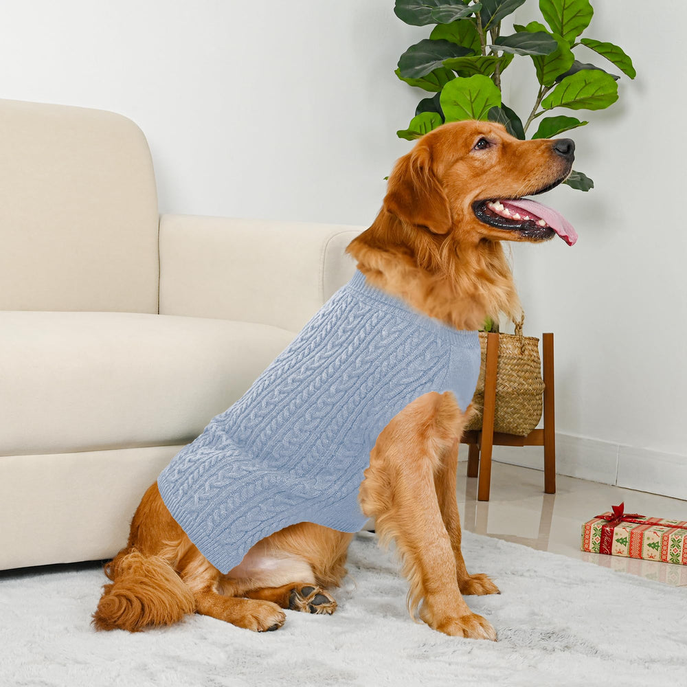 Lorehelina dog sweater viewed from the back.