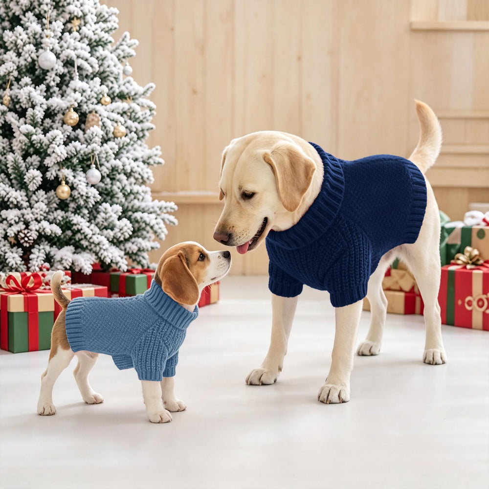Lorehelina dog sweater shown in blue.