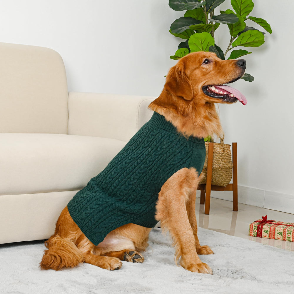 Lorehelina dog sweater colors shown side by side in green and brown.