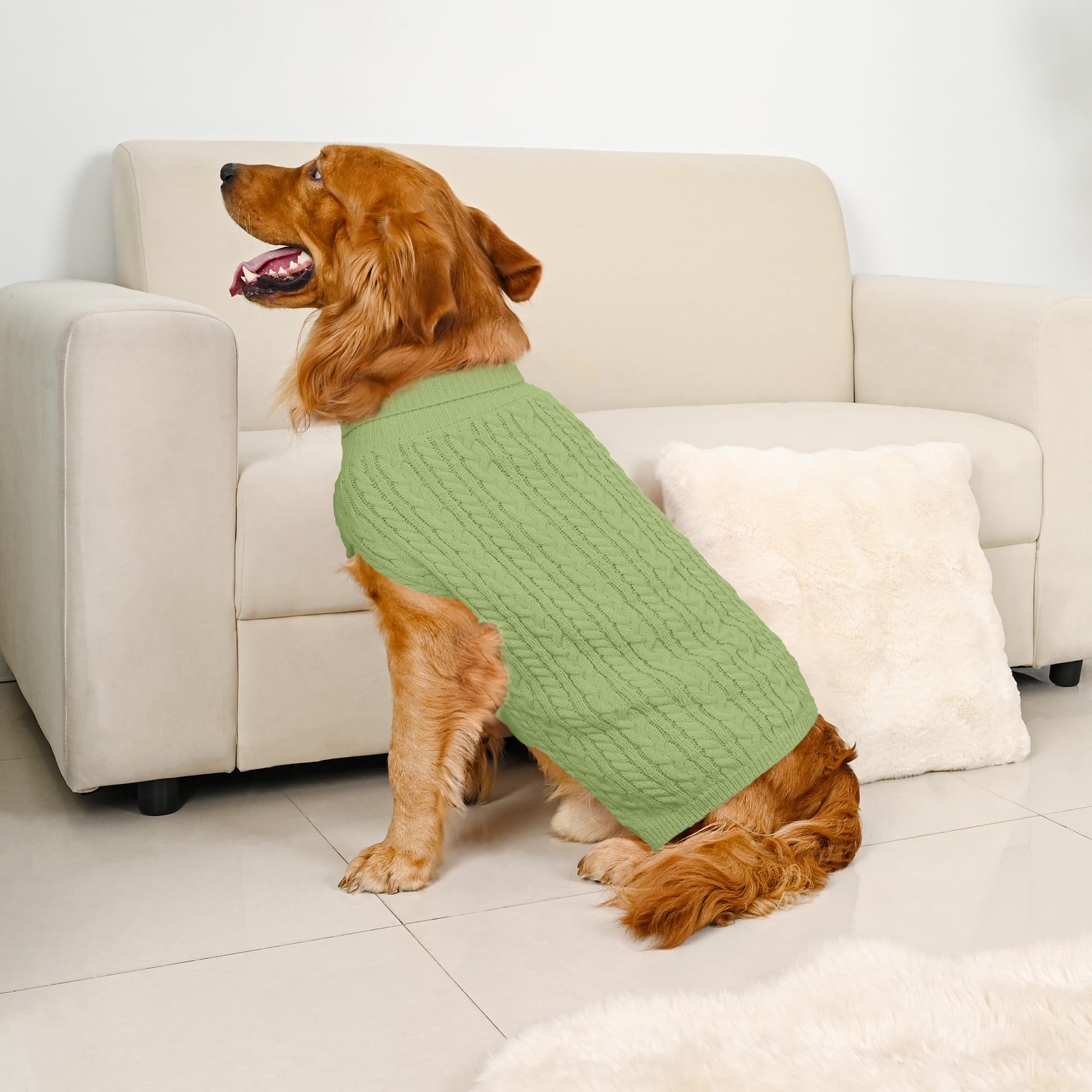Lorehelina dog sweater showing the high belly cut and sleeveless shape.