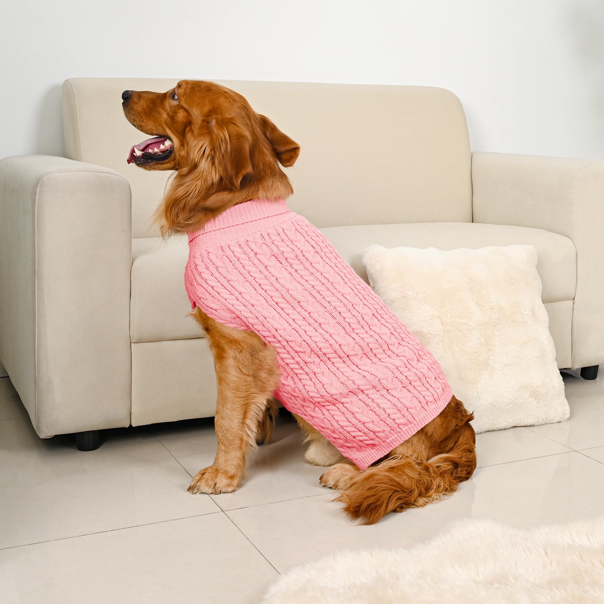 Lorehelina dog sweater showing the high belly cut.