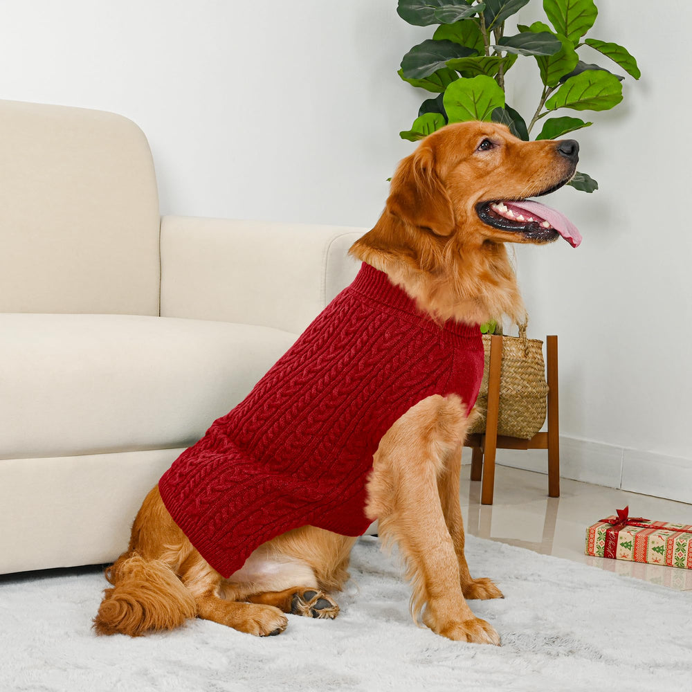 Lorehelina dog sweater showing its high belly cut.