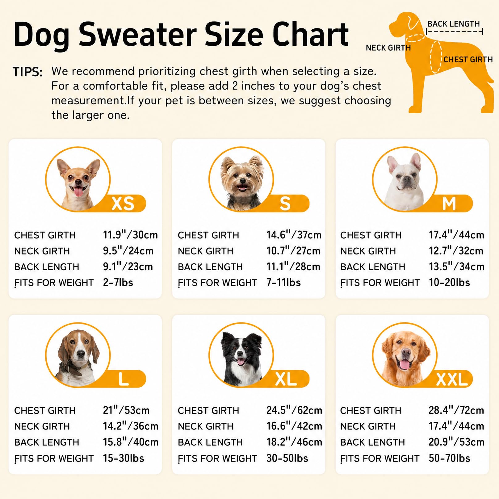 Lorehelina dog sweater shown with its pullover design and high belly cut.