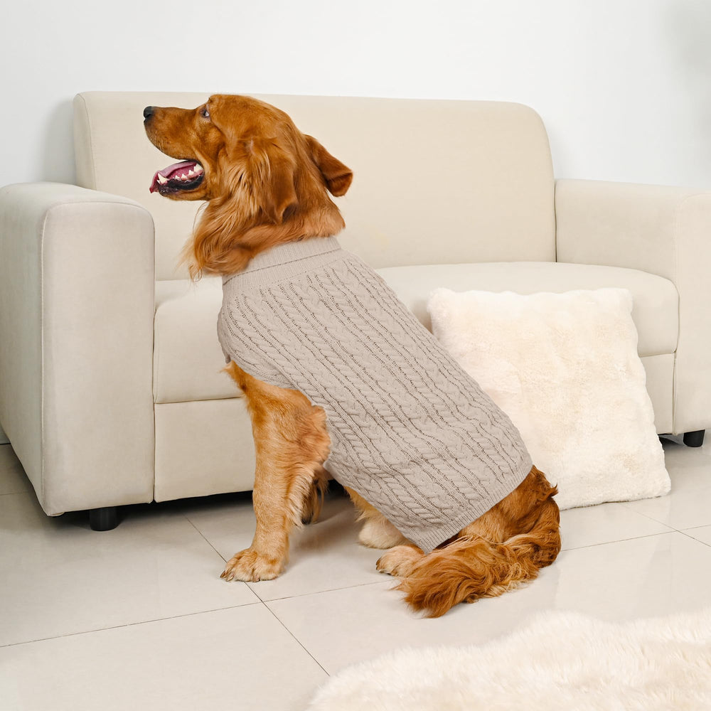 Lorehelina dog sweater detail showing the sleeveless turtleneck and high belly cut.