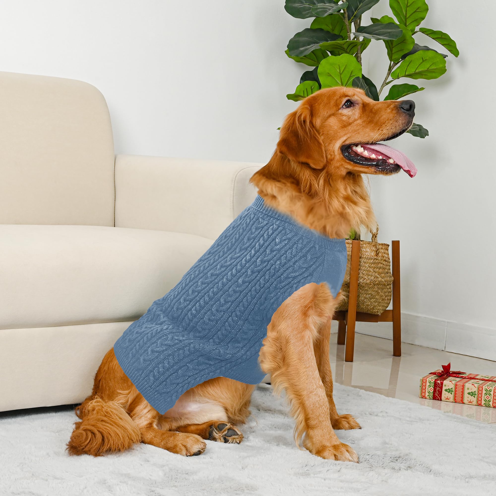 Lorehelina dog sweater two-pack showing the navy and blue sweaters together.