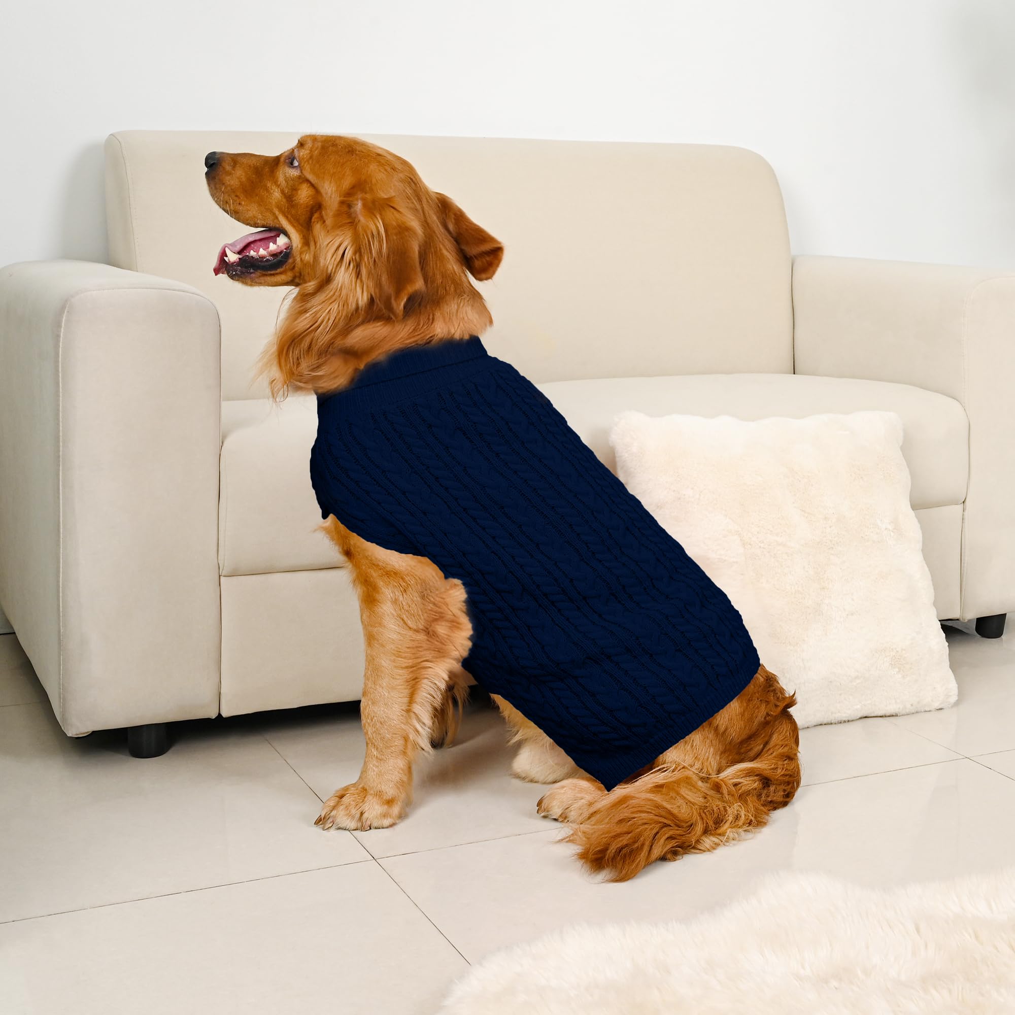 Lorehelina dog sweater shown on a dog to illustrate its pullover fit.