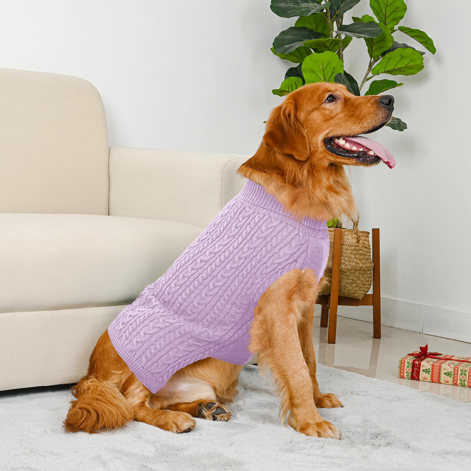 Lorehelina dog sweater shown worn by a large dog.