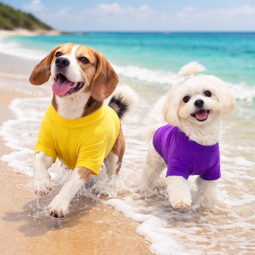 Lovelonglong dog T-shirt color options shown together.