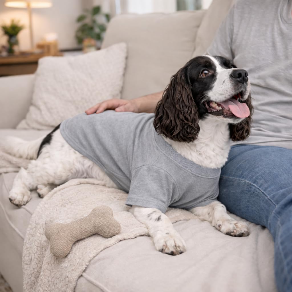 Lovelonglong dog T-shirt shown worn by a Corgi.