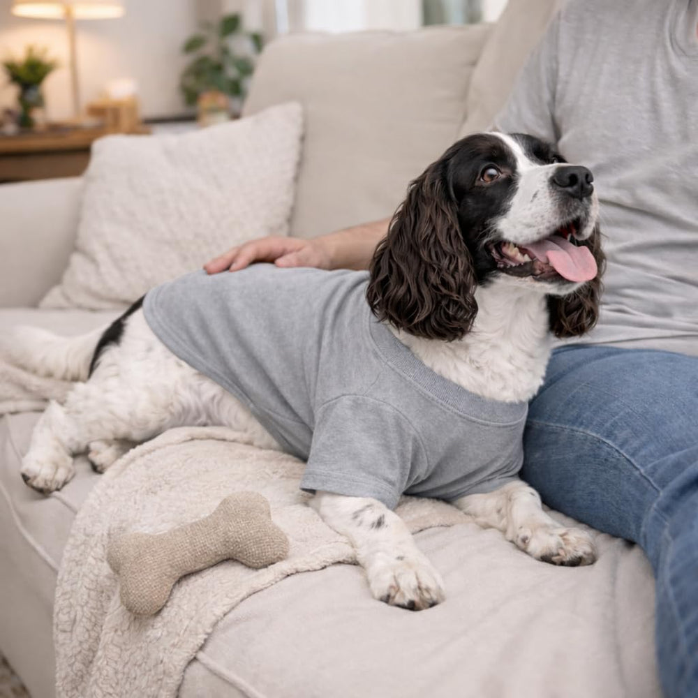 Lovelonglong dog T-shirt shown worn by a Corgi.