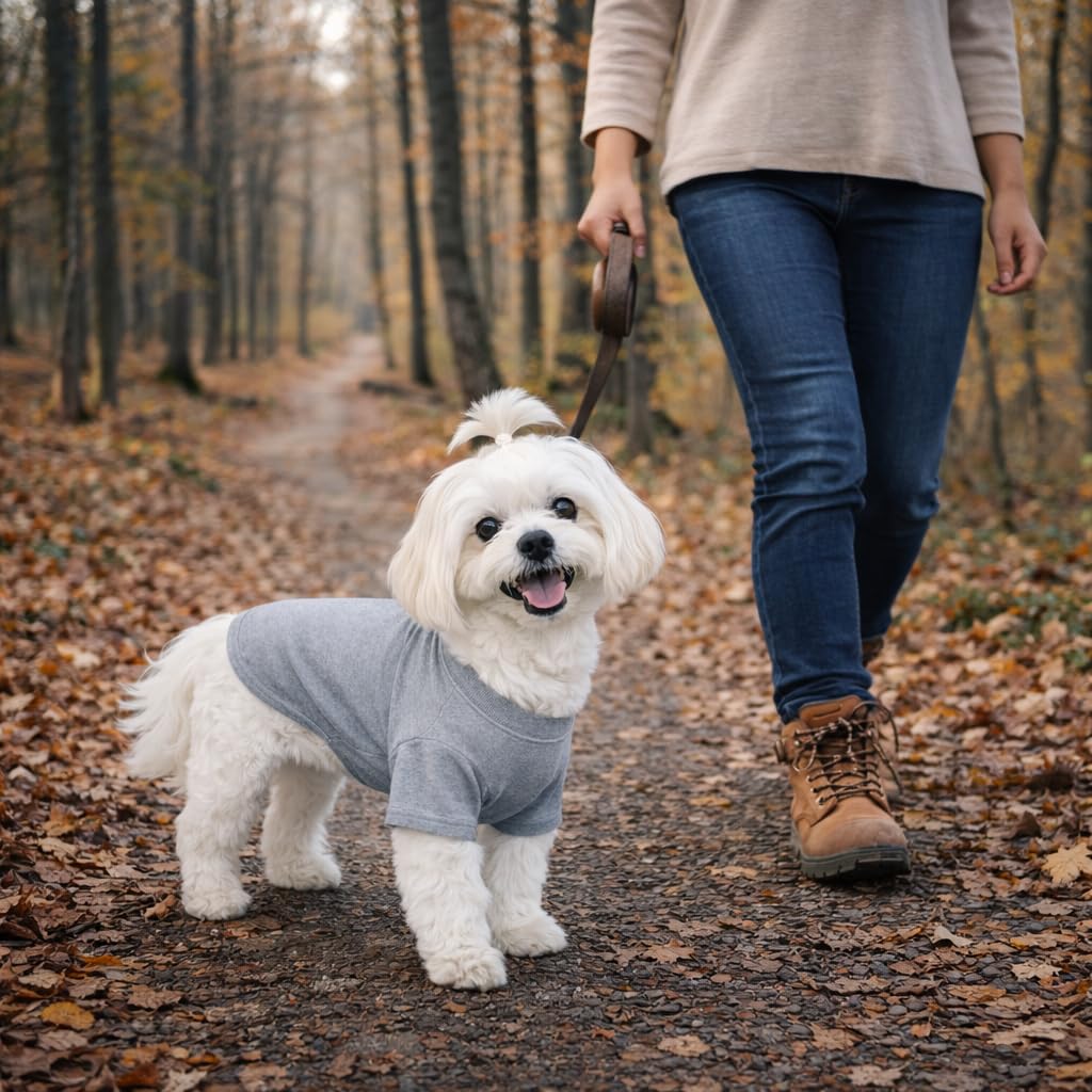 Lovelonglong dog T-shirt shown worn by a Dachshund.