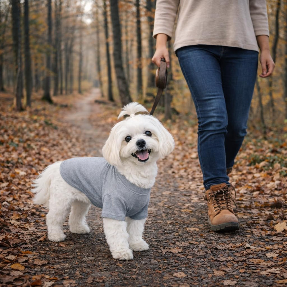 Lovelonglong dog T-shirt shown worn by a Dachshund.