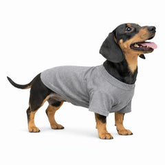 Lovelonglong dog T-shirt shown from the front in gray.
