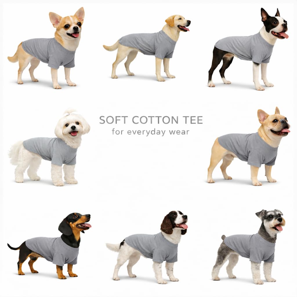 Lovelonglong dog T-shirt detail showing the long-back design.
