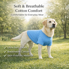 Lovelonglong dog T-shirt detail showing its short sleeves.