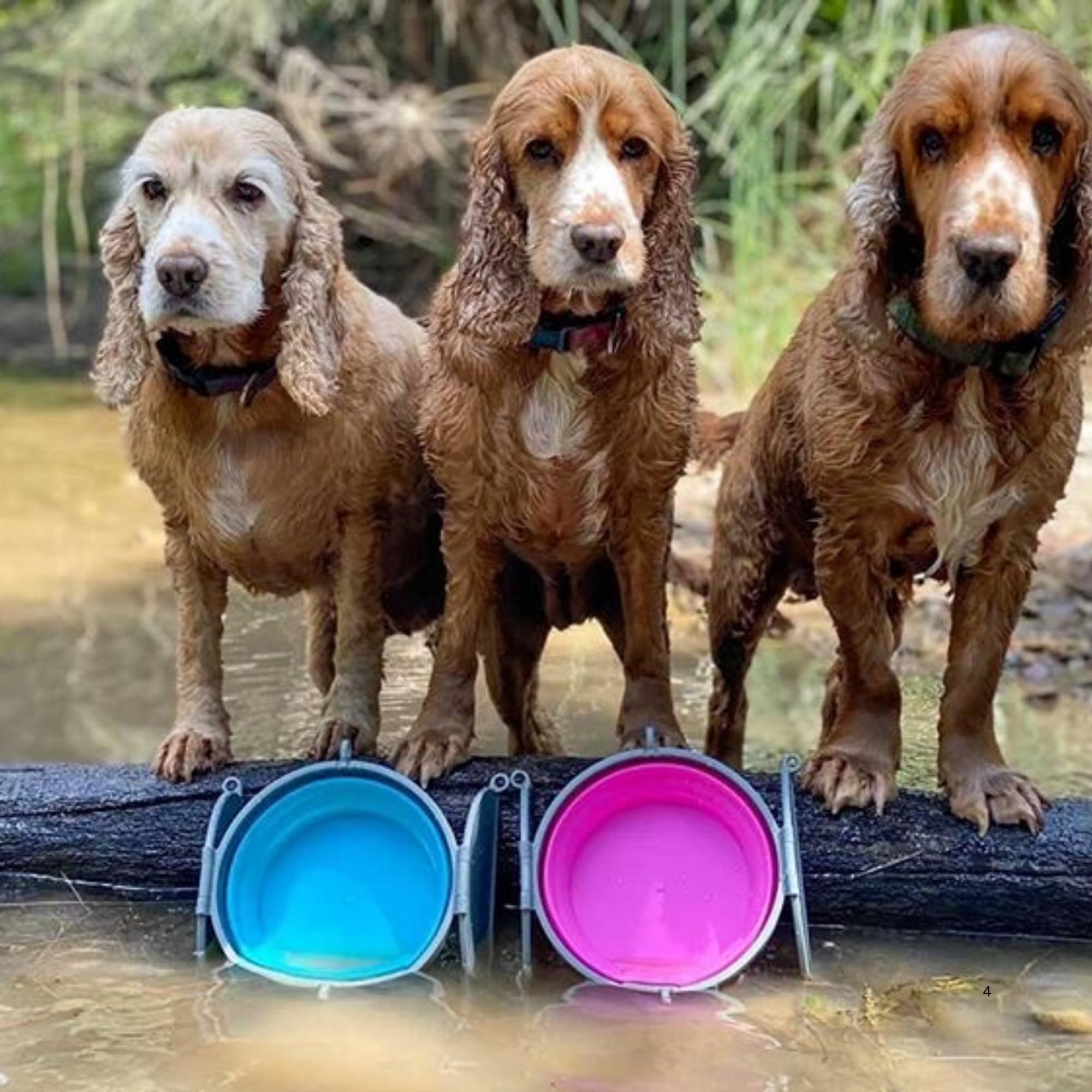 Loving Pets Bella Roma dog bowl shown for top-rack dishwasher cleaning.