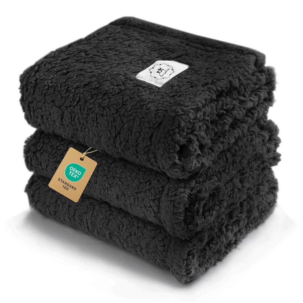 Luciphia black medium pet blanket shown from the front.