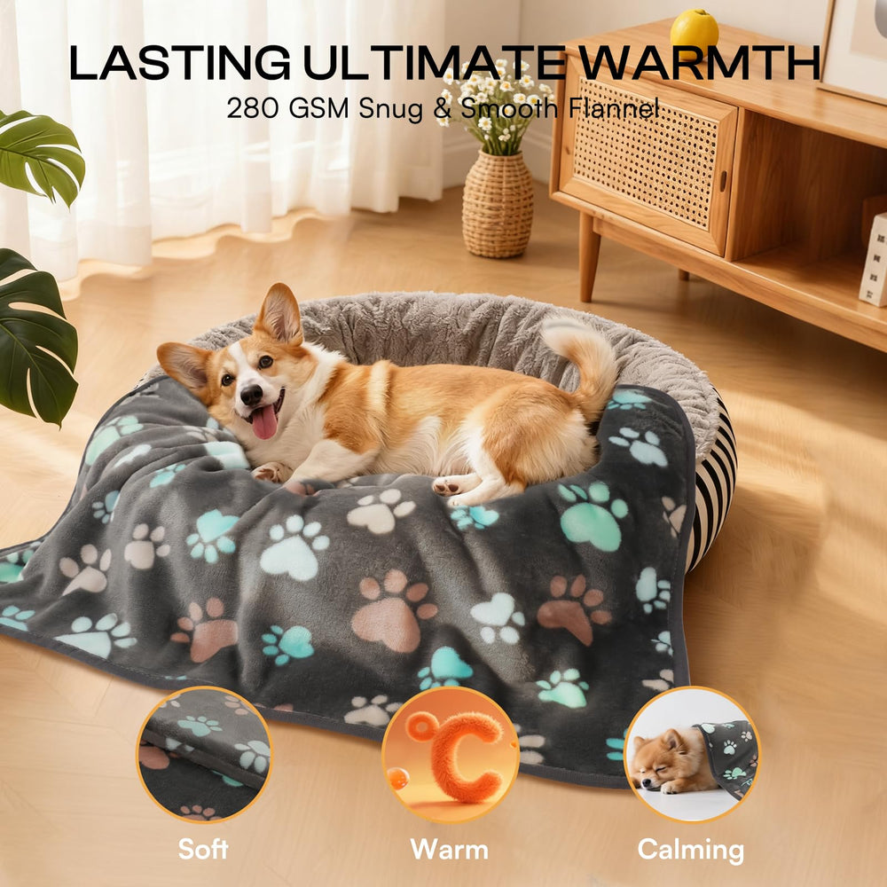 Luciphia pet blanket used as a cover on a sofa to help protect furniture.
